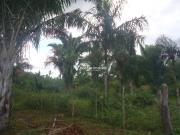 Terreno na cacimba velha a venda