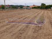 Terreno na Chamusca STR043 | 26044078593