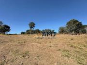 Terreno na GO 020 em Bela Vista de Goiás