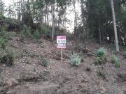 Terreno na Vila Cucujães, Oliveira de Azeméis