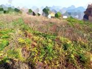 Terreno, na zona nobre de Valongo para construção Terreno, na zona nobre de Valongo para construção