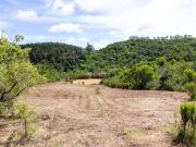 Terreno nas colinas de Carrascalinho com possibilidade...