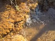 TERRENO NASCENTE DAS PEDRAS TERRENO NASCENTE DAS PEDRAS