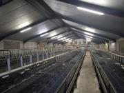 Terreno, Navas de Jorquera