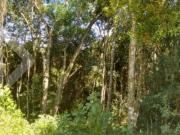 Terreno no bairro Cantegril