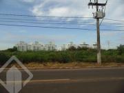 Terreno no bairro Igara