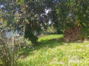 Terreno no bairro Ouro Branco