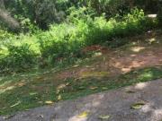 TERRENO NO CONDOMINIO GAFISA NOVA CANTAREIRA