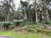 TERRENO NO CONDOMÍNIO PINHEIRO GROSSO EM CANELA!