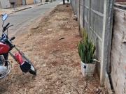 Terreno no Jardim Europa