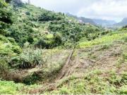 Terreno no Porto da Cruz Norte da Ilha da Madeira