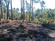 Terreno, Nogueira, Meixedo e Vilar de Murteda, Viana do...