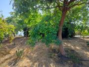 Terreno, Norte Barrio del Pilar El Reñidero, Vélez Malaga