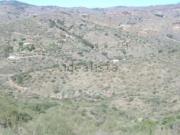 Terreno, Olías, Málaga