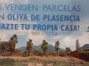 Terreno, Oliva de Plasencia