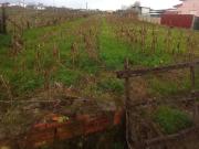 Terreno, Ovar, São João, Arada e São Vicente de Pereira...