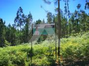 Terreno, Ovar, São João, Arada e São Vicente de Pereira...