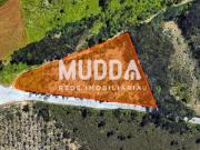 Terreno, Ovar, São João, Arada e São Vicente de Pereira...