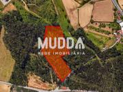 Terreno, Ovar, São João, Arada e São Vicente de Pereira...