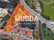 Terreno, Ovar, São João, Arada e São Vicente de Pereira...