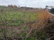Terreno, Ovar, São João, Arada e São Vicente de Pereira...