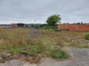 Terreno, Ovar, São João, Arada e São Vicente de Pereira...