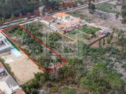 Terreno, Ovar, São João, Arada e São Vicente de Pereira...