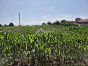 Terreno, Ovar, São João, Arada e São Vicente de Pereira...
