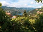 Terreno p/ Construção com Vista para o Rio Douro