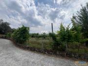 Terreno p/ moradia, para venda, Braga Crespos e Pousada...