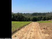 Terreno P/A Incorporacao Com 81.335M2