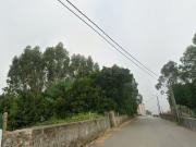 Terreno, Paços de Brandão