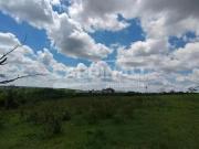 Terreno Padrão em Brotas