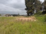 Terreno, Pallaresos Els