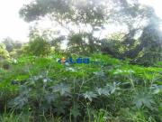 Terreno, Recreio Bela Vista, Suzano, SP