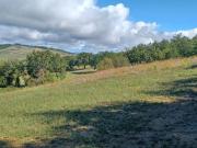 Terreno panoramico in Val d'Orcia