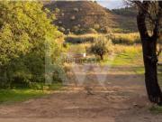 Terreno para agricultura | 920m2 | Margem da Ribeira |...