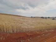 Terreno para Alugar na RegiÃ£o Sul de Londrina, no...