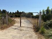 Terreno para arrendamento