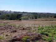 Terreno para arrendar em Monte Arroio