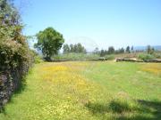 Terreno para arrendar em Paredes