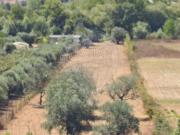 Terreno para arrendar em Pombal