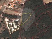 Terreno para arrendar em Sintra