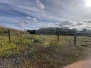 Terreno para arrendar em Tala