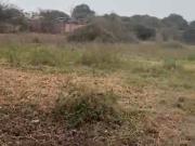 TERRENO EN PACHACAMAC junto a canal 4