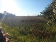 Terreno para Construção