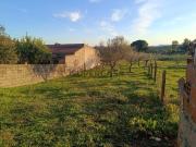 Terreno para Construção