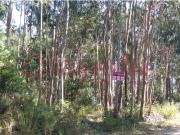 Terreno para construção