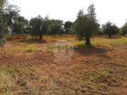 Terreno para construção