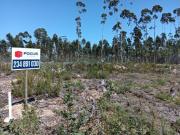 Terreno para construção Albergaria a Velha Angeja